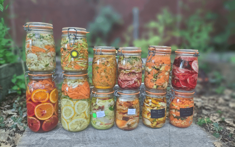 Conserves : secrets de la lactofermentation